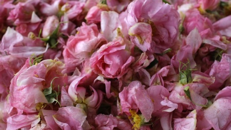 Снимка: архив, Reuters