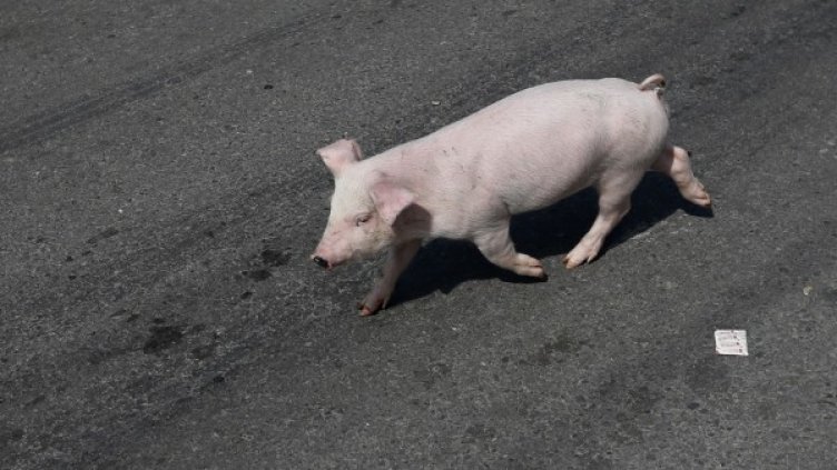 Снимка: Reuters, архив