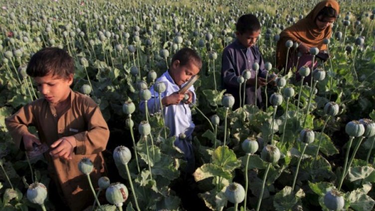 Снимка: архив, Reuters