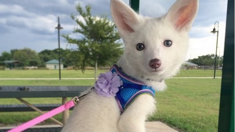 Снимка: Instagram