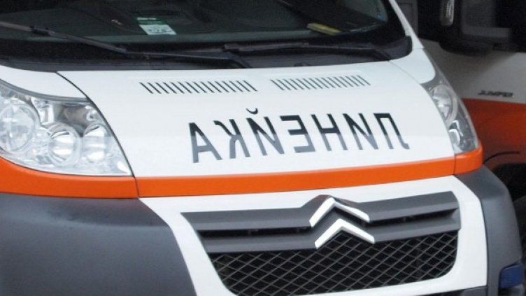 Снимка: архив Булфото