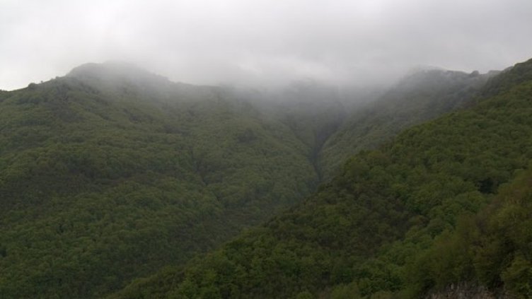 Снимка: архив, Булфото