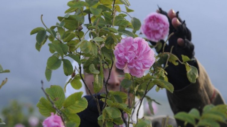 Снимка: архив, Булфото