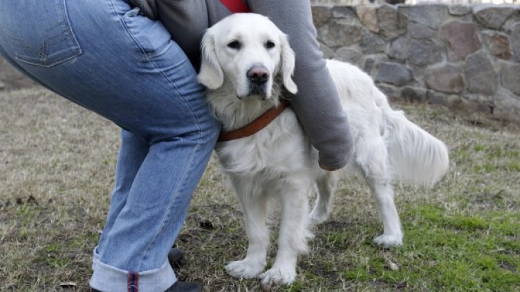 Снимка: Reuters, архив