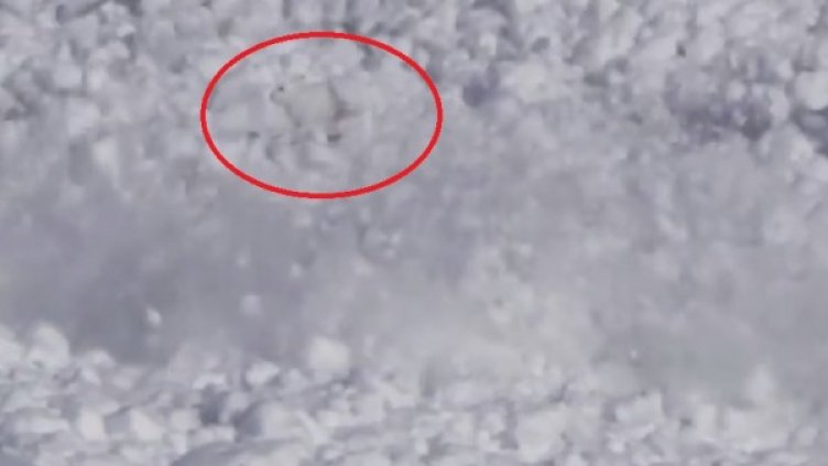 Снимка: YouTube