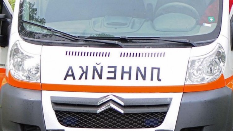 Снимка: архив Булфото