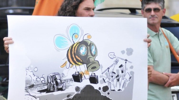 Протест пред НС: "Да спасим пчелите"