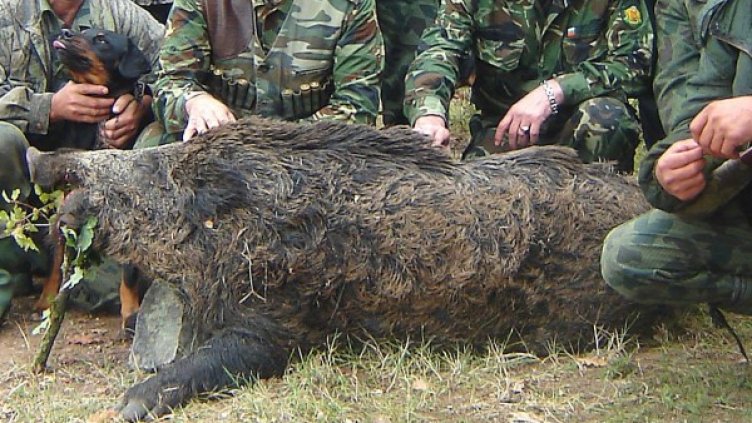 Снимка: архив Булфото