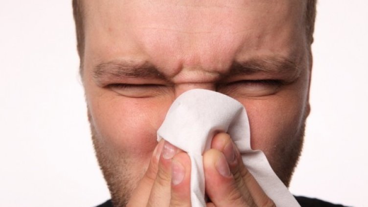 Снимка: photl.com