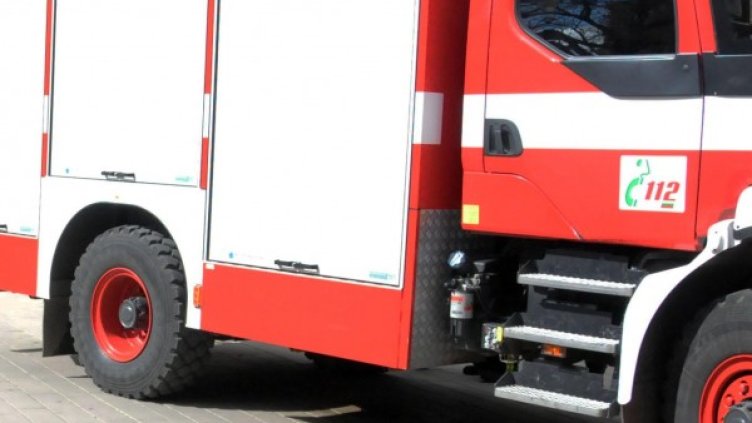 Снимка: архив, Булфото