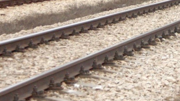 Снимка: архив Булфото