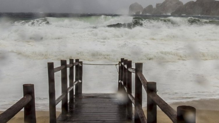 Снимка: Reuters, архив