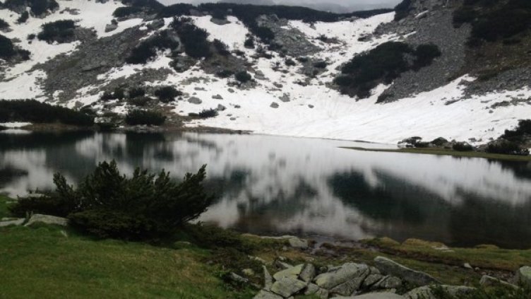 Снимка: Facebook, Национален парк "Пирин"