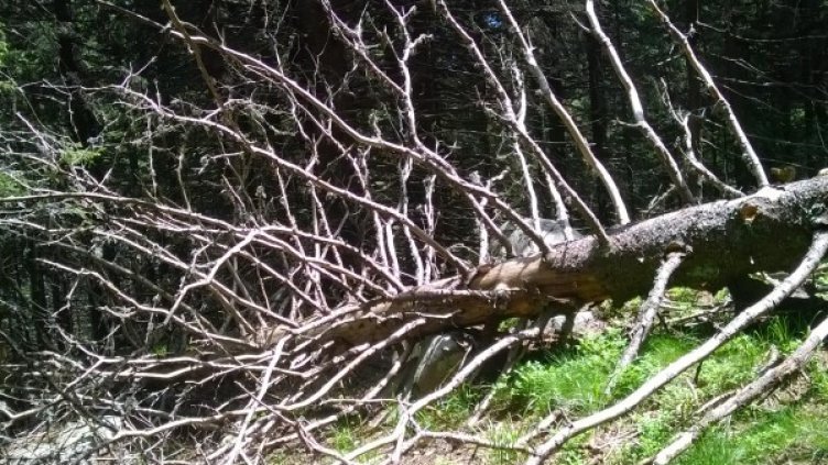 Снимка: Dnes.bg