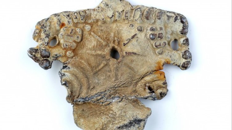 Откритият оловен букраний край Созопол. Снимка: НИМ