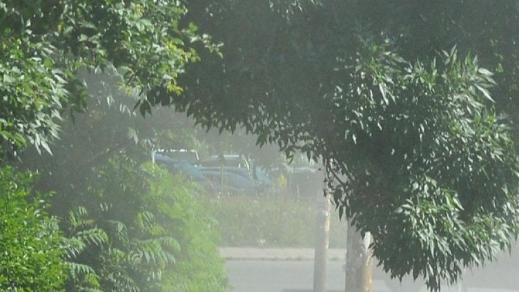 Снимка: архив, Булфото