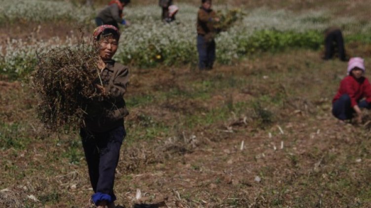 Снимка: архив, Reuters