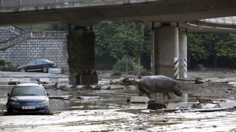 Снимка: Reuters
