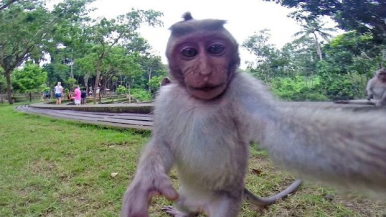 Снимка: Twitter