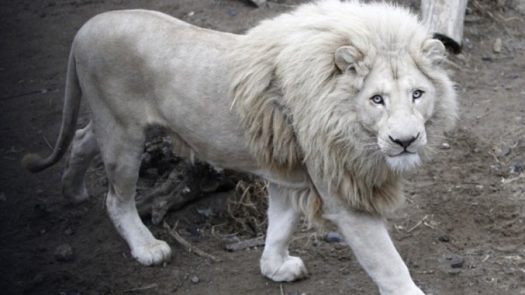 Снимка: архив, Reuters