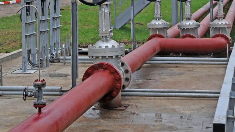 Снимка, архив Булфото