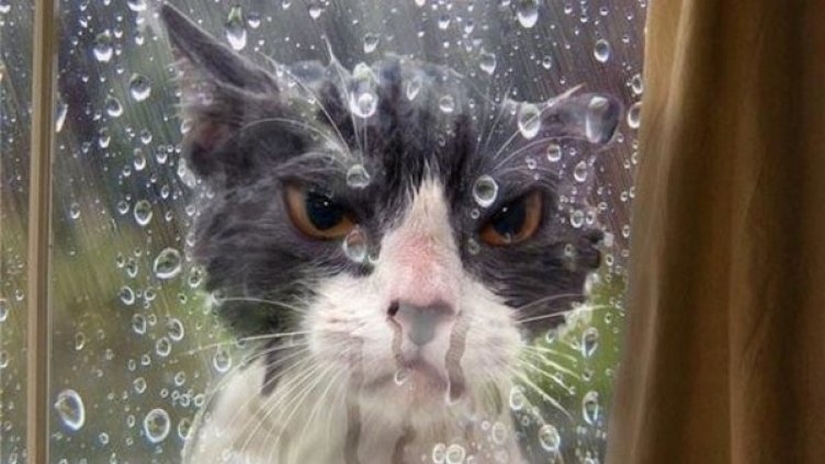 Снимка: ofigenno