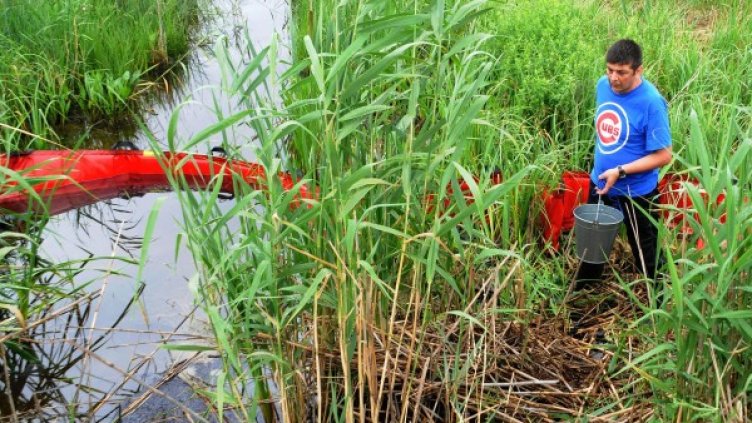 Снимка: Булфото