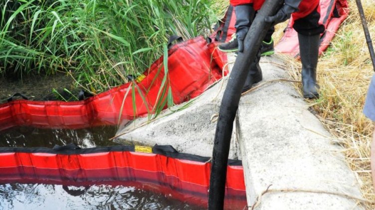 Снимка: Булфото, ахрив