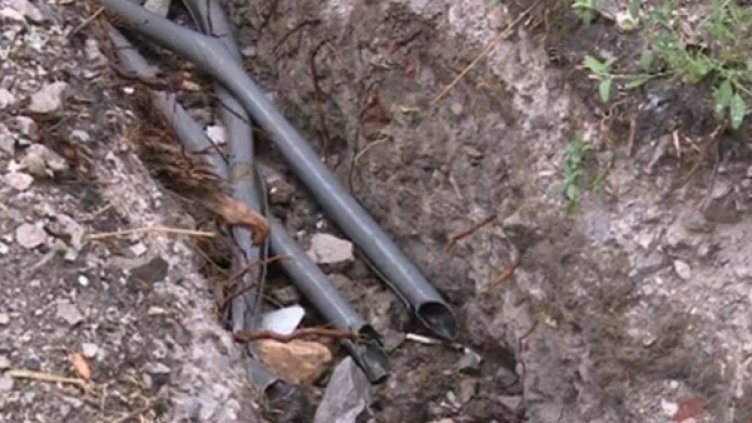 Снимка: Кадър bTV