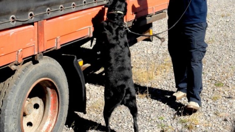 Снимка: архив Булфото