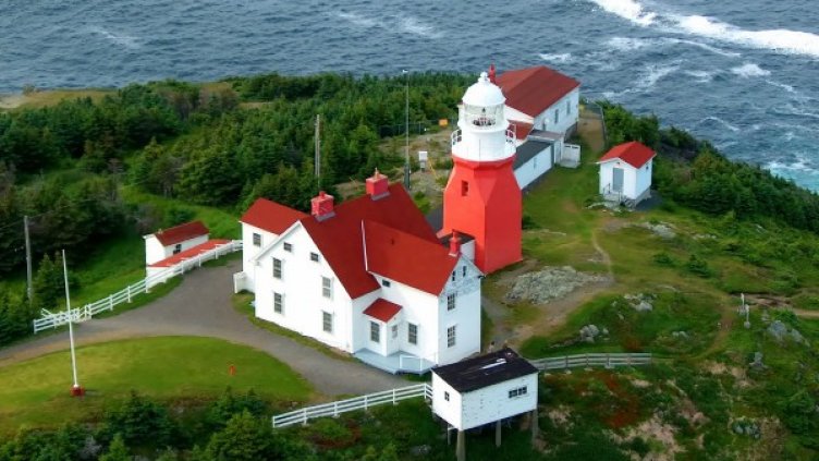 Снимка: freeimages.com