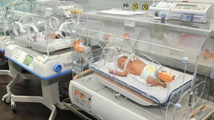 Снимка: архив Булфото