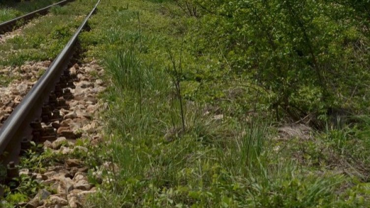 Снимка: архив, Булфото