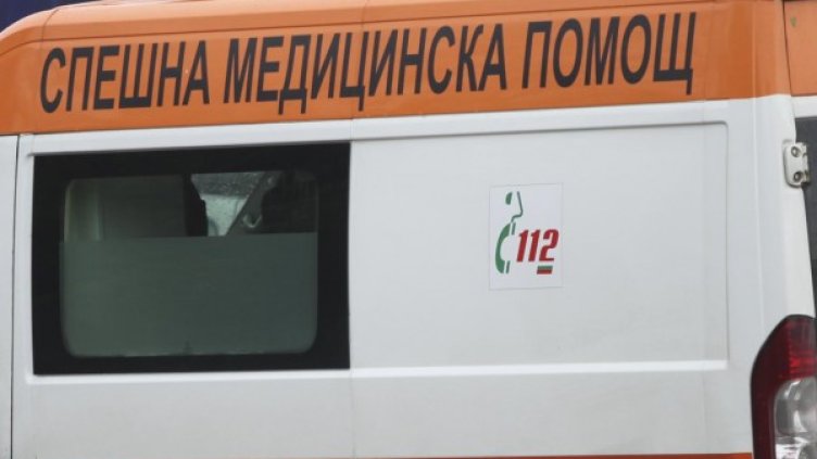 Снимка: Архив Булфото