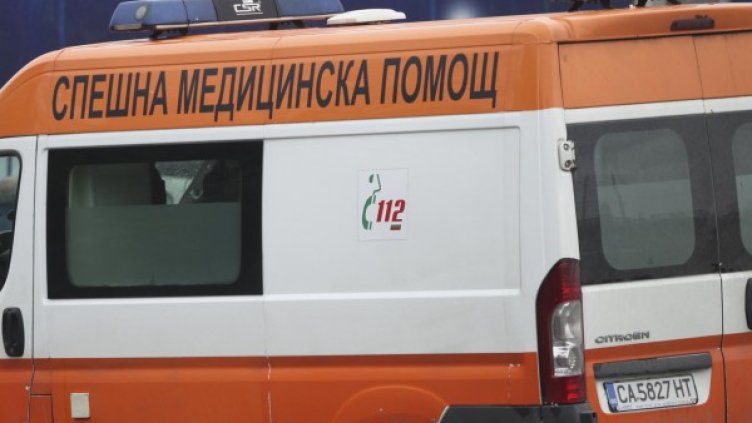 Снимка: Архив Булфото