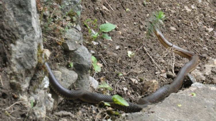 Снимка: Dnes.bg