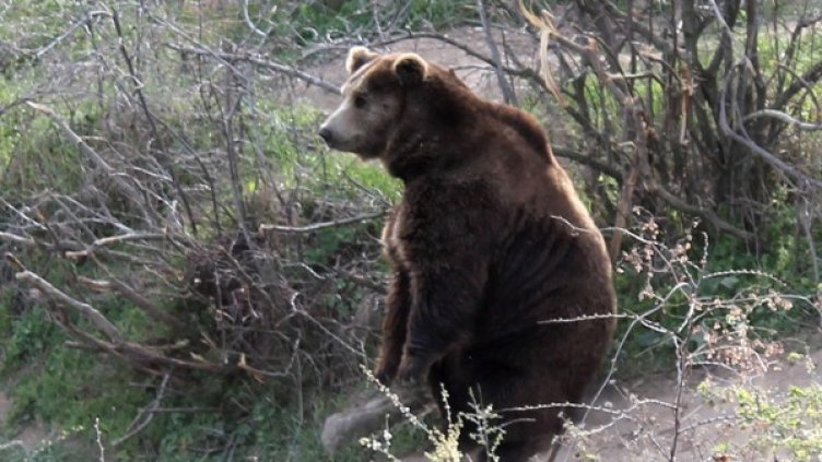 Снимка: Булфото, архив