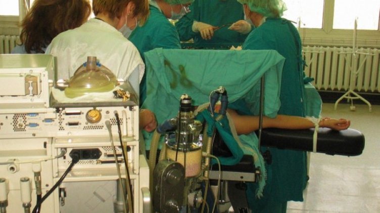 Снимка: архив, Булфото