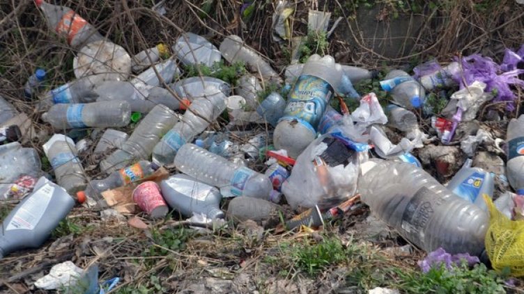 Снимка: Булфото, архив