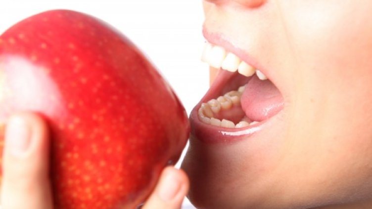 Снимка: photl.com