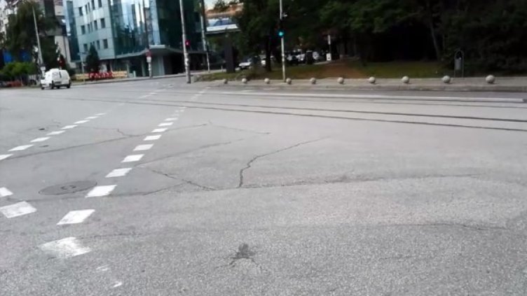 Снимка: Dnes.bg