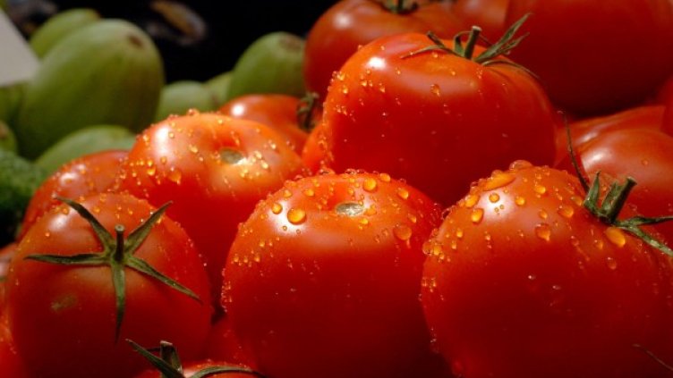 Снимка: архив, БулФото