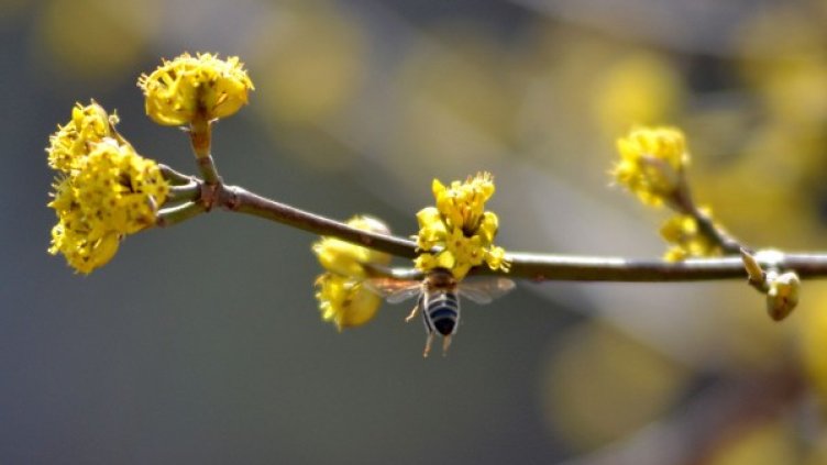 Снимка: БТА, архив