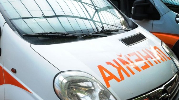 Снимка: Булфото, архив