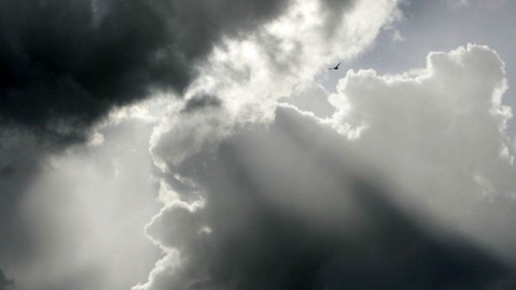 Снимка: Reuters, архив