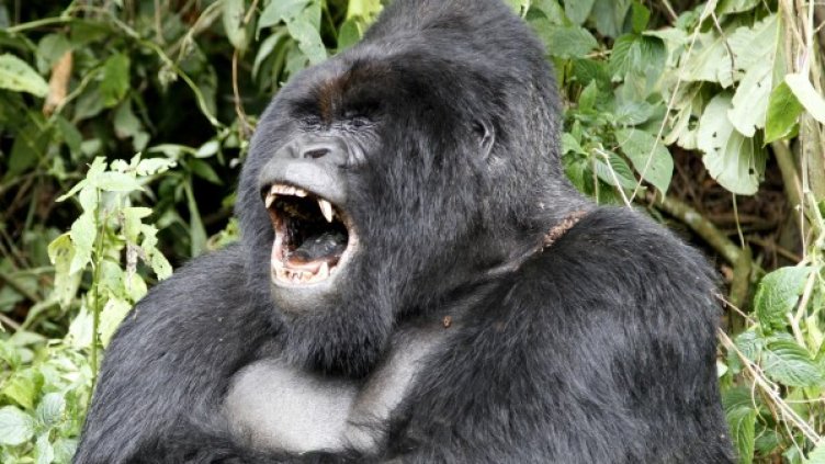 Снимка: Reuters, архив