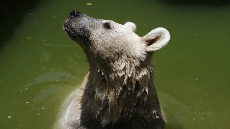 Снимка: Архив Reuters