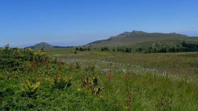 Снимка: МОСВ