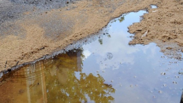 Снимка: БулФото