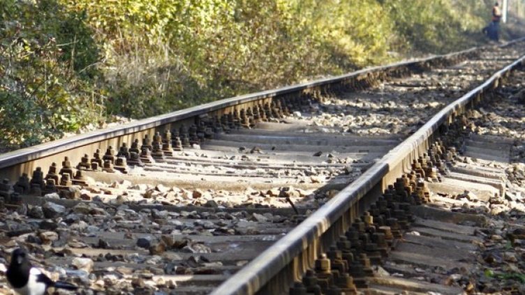 Снимка: Булфото, архив